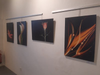 /album/podbrdske-muzeum-rozmital-pod-tremsinem-ii-2025/20251111-155328-jpg/