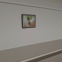 /album/jen-tak-pro-radost-dobris-xii-2025/20251216-134000-jpg/