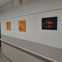 /album/jen-tak-pro-radost-dobris-xii-2025/20251216-134008-jpg/