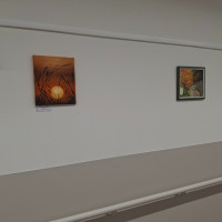 /album/jen-tak-pro-radost-dobris-xii-2025/20251216-134029-jpg/