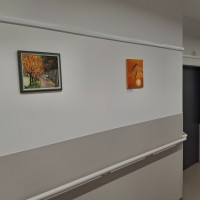 /album/jen-tak-pro-radost-dobris-xii-2025/20251216-134032-jpg/