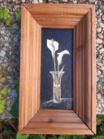 Bílá kala, 15x26 cm v rámu, Cena: 900,- Kč
